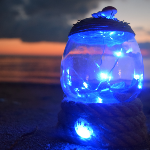 Mavi 370 cc Doğal Deniz Kabukları ve Mantar ile Dekore Edilmiş Özel Tasarım Işıklı Gece Lambası 2